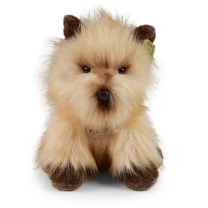 Rappa Λούτρινος Σκύλος Cairn Terrier 30 εκ. Eco-Friendly (231122)